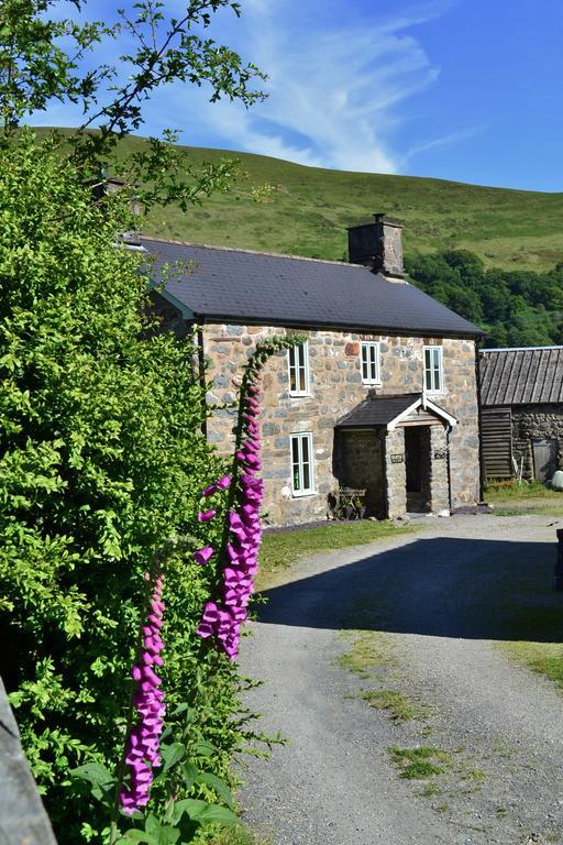 The Firecat Country House Guesthouse Mallwyd Exterior foto